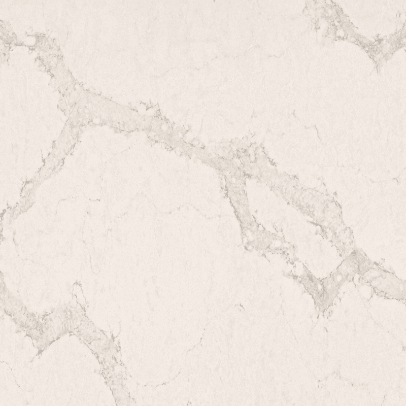 Calacatta Nuvo