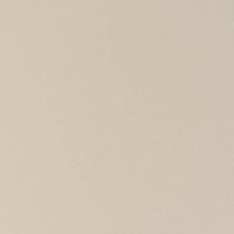 Ash Grey