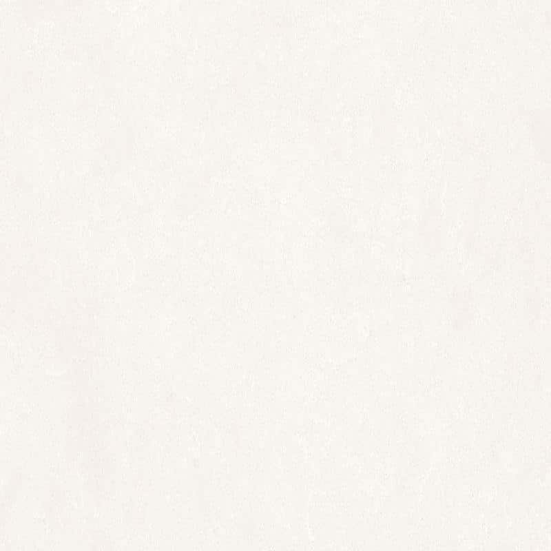 Calico White