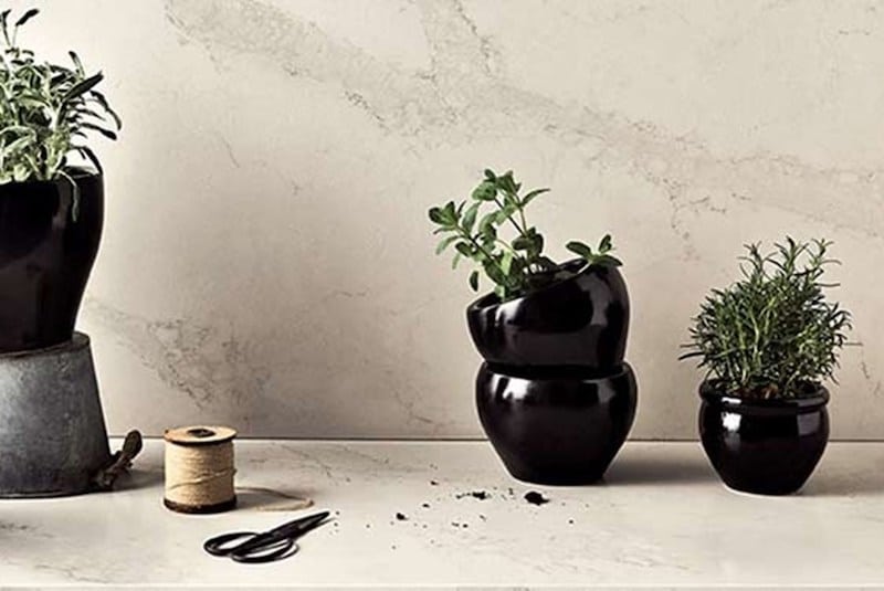 Calacatta Nuvo Honed